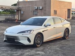 BYD Dolphin 07 DM-i Smart Driving Edition DM-i 1.5L 125km Luxury - ფოტო 1