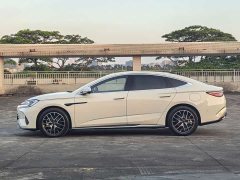 BYD Dolphin 07 DM-i Smart Driving Edition DM-i 1.5L 125km Luxury - ფოტო 2