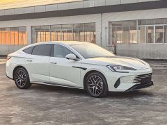 BYD Dolphin 07 DM-i Smart Driving Edition DM-i 1.5L 125km Luxury - ფოტო 9