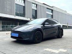 Tesla Model Y Long Range All-Wheel Drive - ფოტო 1