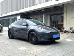 Tesla Model Y Long Range All-Wheel Drive - ფოტო 3