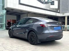 Tesla Model Y Long Range All-Wheel Drive - ფოტო 6