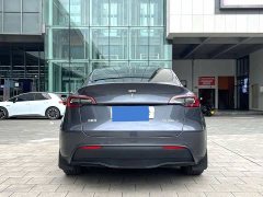 Tesla Model Y Long Range All-Wheel Drive - ფოტო 7