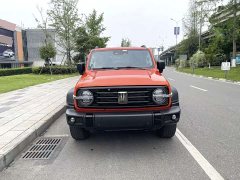 Tank 300 2021 Off-Road Edition 2.0T Conqueror - ფოტო 2