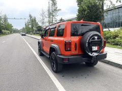 Tank 300 2021 Off-Road Edition 2.0T Conqueror - ფოტო 8