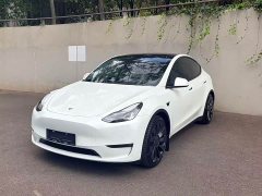Tesla Model Y Performance All-Wheel Drive - ფოტო 1