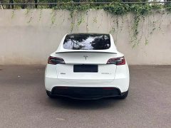 Tesla Model Y Performance All-Wheel Drive - ფოტო 2