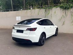 Tesla Model Y Performance All-Wheel Drive - ფოტო 3