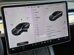 Tesla Model 3 Standard Range RWD Upgrade - ფოტო 9