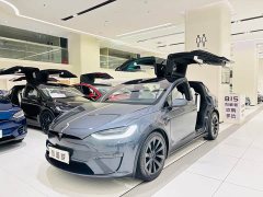 Tesla Model X Dual Motor All-Wheel Drive - ფოტო 1