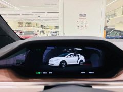 Tesla Model X Dual Motor All-Wheel Drive - ფოტო 10