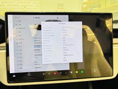 Tesla Model X Dual Motor All-Wheel Drive - ფოტო 12