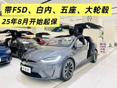 Tesla Model X Dual Motor All-Wheel Drive - ფოტო 2