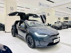 Tesla Model X Dual Motor All-Wheel Drive - ფოტო 3