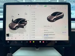 Tesla Model Y Long Range All-Wheel Drive - ფოტო 10
