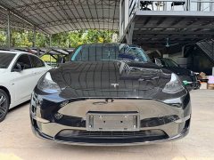 Tesla Model Y Long Range All-Wheel Drive - ფოტო 2