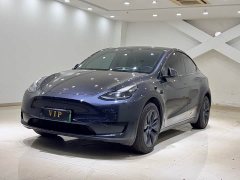 Tesla Model Y Rear-Wheel Drive - ფოტო 1