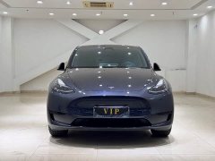Tesla Model Y Rear-Wheel Drive - ფოტო 2