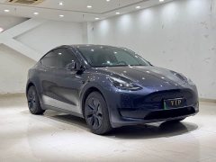 Tesla Model Y Rear-Wheel Drive - ფოტო 3