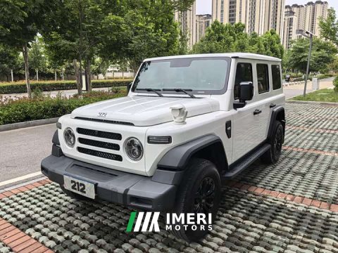 2024 Volkswagen 212 T01 2.0T Mechanic Edition - ავტომობილი ჩინეთიდან