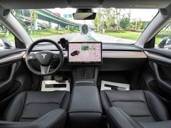 Tesla Model 3 Standard Range RWD Upgrade - ფოტო 6