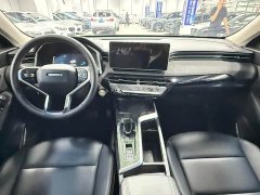 Haval Chitu Jingxiang Edition 1.5T Purple Copper Rabbit - ფოტო 19