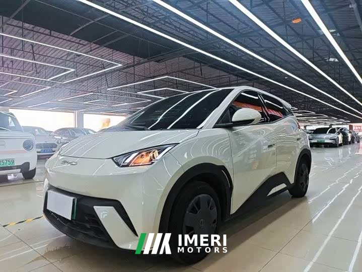 BYD Seagull Vitality Edition - ავტომობილი ჩინეთიდან