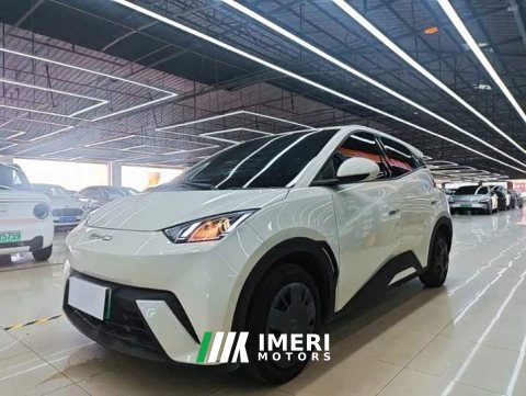 2023 BYD Seagull Vitality Edition - ავტომობილი ჩინეთიდან