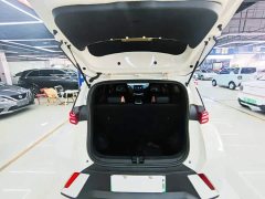 BYD Seagull Vitality Edition - ფოტო 13