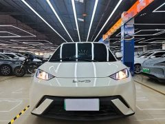 BYD Seagull Vitality Edition - ფოტო 2