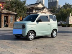 Geely Panda Mini 200km Endurance Edition - ფოტო 1