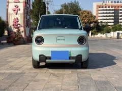 Geely Panda Mini 200km Endurance Edition - ფოტო 2