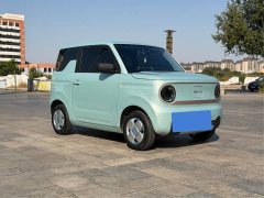 Geely Panda Mini 200km Endurance Edition - ფოტო 3