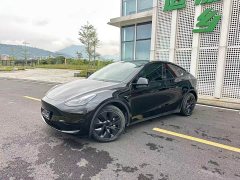 Tesla Model Y Rear-Wheel Drive - ფოტო 1