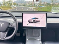 Tesla Model Y Rear-Wheel Drive - ფოტო 14