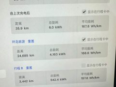 Tesla Model Y Rear-Wheel Drive - ფოტო 15