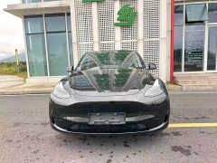 Tesla Model Y Rear-Wheel Drive - ფოტო 2