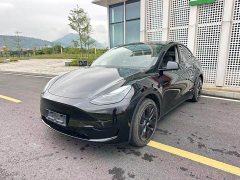Tesla Model Y Rear-Wheel Drive - ფოტო 20