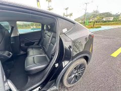 Tesla Model Y Rear-Wheel Drive - ფოტო 8