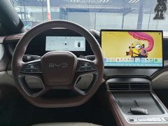 BYD Dolphin 07 DM-i 2026 DM-i 1.5T 230km Flagship - ფოტო 8
