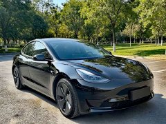 Tesla Model 3 Rear-Wheel Drive - ფოტო 3