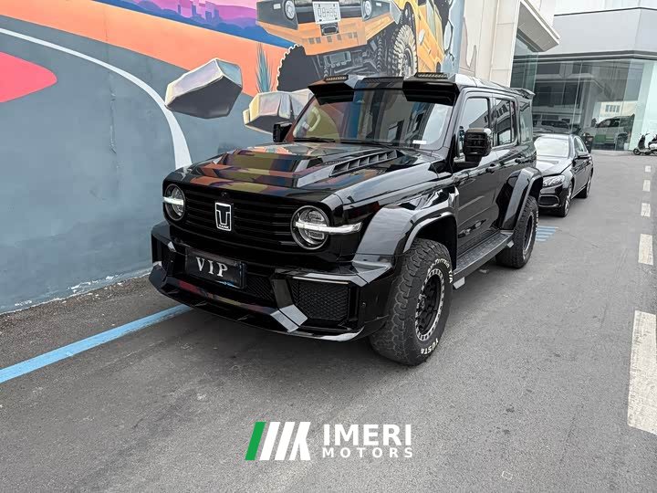 Tank 300 Off-Road Edition 2.0T Conqueror - ავტომობილი ჩინეთიდან