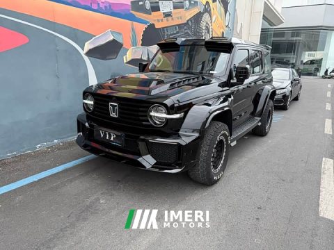 2023 Tank 300 Off-Road Edition 2.0T Conqueror - ავტომობილი ჩინეთიდან