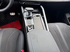 Geely Xingrui Oriental Radiance 2.0T Diesel Star Edition - ფოტო 6