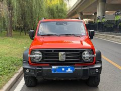 Tank 300 2.0T Third Anniversary Limited Edition - ფოტო 2