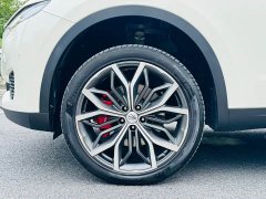 Maserati Levante 3.0T Standard Edition - ფოტო 12