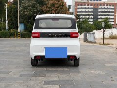 Wuling Hongguang MINIEV 2020 Deluxe Edition LFP Battery - ფოტო 5