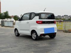 Wuling Hongguang MINIEV 2020 Deluxe Edition LFP Battery - ფოტო 6