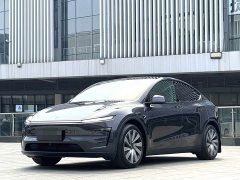 Tesla Model Y Rear-Wheel Drive - ფოტო 1