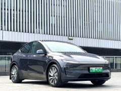 Tesla Model Y Rear-Wheel Drive - ფოტო 3